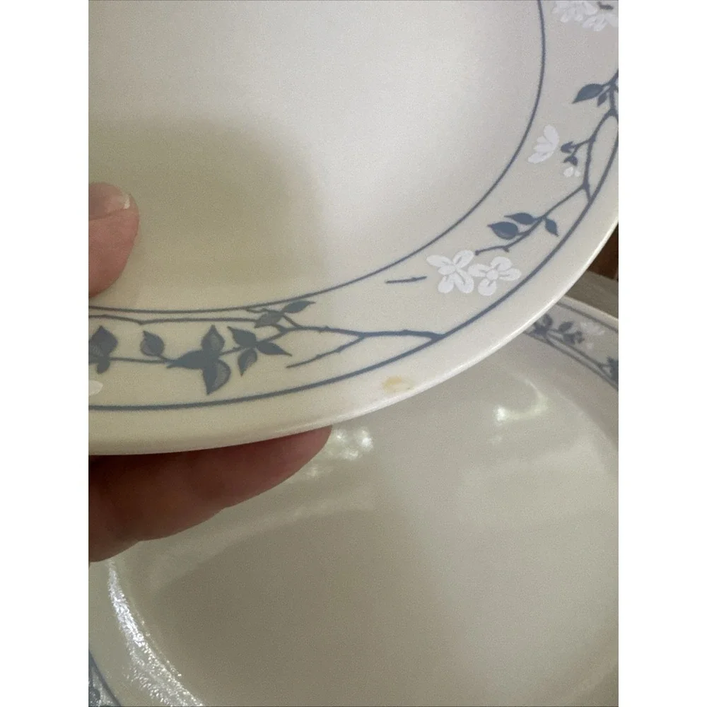 Corelle few stray